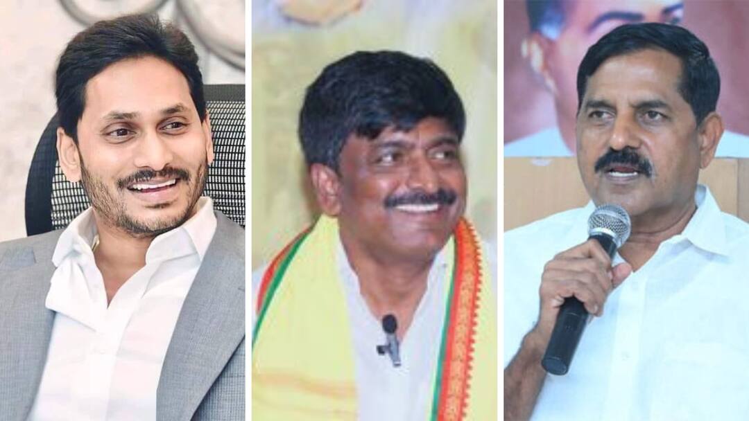 Kadapa District Assembly and Parliament Candidates Assets as per 2019 affidavits abpp Kadapa News: ఎన్నికల్లో అయినా ఆస్తుల్లోనైనా వైఎస్‌ కుటుంబాన్ని ఎదుర్కొనే సత్తా ఉందా..?