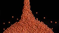 Healthy Eating: தினமும் ஒரு கப் பருப்பு சாப்பிடனும்; ஏன் தெரியுமா?