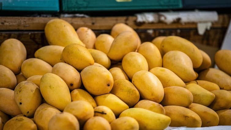Soaking Mango Benefits: Experts say that mangoes should be eaten soaked in water or else the problems will be avoided.