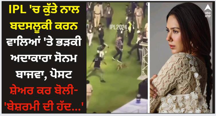 punjabi actress sonam bajwa shows anger on misbehaving with stray dog at ipl grouond Sonam Bajwa: IPL 'ਚ ਕੁੱਤੇ ਨਾਲ ਬਦਸਲੂਕੀ ਕਰਨ ਵਾਲਿਆਂ 'ਤੇ ਭੜਕੀ ਅਦਾਕਾਰਾ ਸੋਨਮ ਬਾਜਵਾ, ਪੋਸਟ ਸ਼ੇਅਰ ਕਰ ਬੋਲੀ- 'ਬੇਸ਼ਰਮੀ ਦੀ ਹੱਦ...'