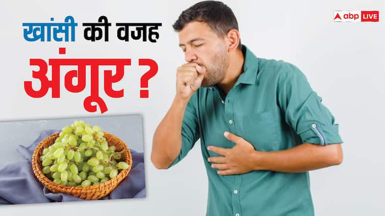 क्या आजकल हो रही खांसी की वजह अंगूर हैं? एक्सपर्ट्स से जान लीजिए दिक्कत की असली वजह cough problem facing due to grapes know the main reason क्या आजकल हो रही खांसी की वजह अंगूर हैं? एक्सपर्ट्स से जान लीजिए दिक्कत की असली वजह
