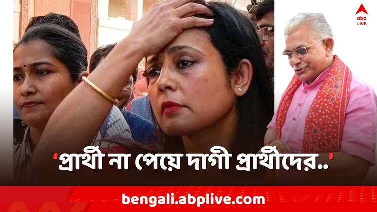 Lok Sabha Elections 2024, BJP Candidate Dilip Ghosh attacks Krishnanagar TMC Candidate Mahua Moitra on Cash For Query Case Dilip On Mahua: আগামীকাল দিল্লিতে TMC প্রার্থী মহুয়াকে তলব, নাম না করেই দিলীপ বললেন..