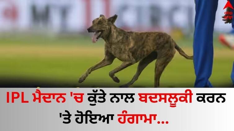 Dog 'Chased, Kicked, Punched' During GT vs MI IPL Game activists condemn 'unsportsmanlike' act details inside IPL ਮੈਦਾਨ 'ਚ ਕੁੱਤੇ ਨਾਲ ਬਦਸਲੂਕੀ ਕਰਨ 'ਤੇ ਹੋਇਆ ਹੰਗਾਮਾ, ਐਨੀਮਲ ਐਕਟੀਵਿਸਟ ਨੇ ਕੀਤੀ ਜੁਰਮਾਨੇ ਦੀ ਮੰਗ!