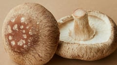 मशरूम चे हे फायदे तुम्हाला माहीत आहेत का ?