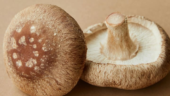 Mushrooms Benefits :मशरूमला आपल्या आहाराचा भाग का बनवावे आणि त्याचे जबरदस्त फायदे काय आहेत जाणून घेऊया...