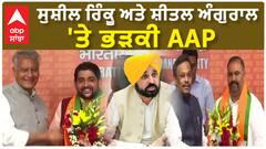 Malvinder Kang| ਸੁਸ਼ੀਲ ਰਿੰਕੂ ਅਤੇ ਸ਼ੀਤਲ ਅੰਗੁਰਾਲ 'ਤੇ ਭੜਕੀ AAP