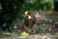 Rajasthan Weather Today: राजस्थान में सबसे ज्यादा यहां पड़ी गर्मी, पारा पहुंचा 41 डिग्री के पार, जानें- आज के मौसम का हाल