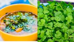 Coriander: கண்கள் ஆரோக்கியத்தை மேம்படுத்தும் கொத்தமல்லித் தழை!