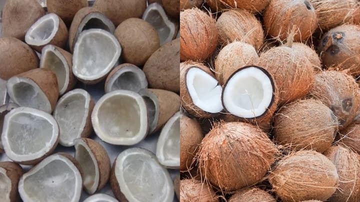 इसके साथ ही लोग फ्लाइट में ज्वलनशील पदार्थ भी नहीं ले सकते हैं. जिनमें सूखा नारियल और कच्चा साबुत नारियल भी नहीं ले जा सकते हैं.