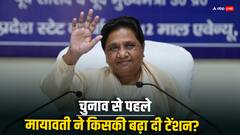 बीजेपी या सपा-कांग्रेस गठबंधन... BSP के ये 16 उम्मीदवार किसको दे रहे सबसे ज्यादा टेंशन