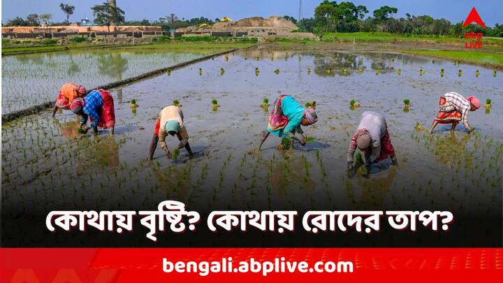 West Bengal Weather Update: শনিবার পর্যন্ত কলকাতা-সহ গোটা দক্ষিণবঙ্গে মাঝেমধ্যে বিক্ষিপ্ত বৃষ্টির পূর্বাভাস রয়েছে। আবার বেশ কিছু জেলায় ৪০ ডিগ্রি ছুঁতে পারে পারদ