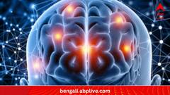 Science News:প্রজন্মের ব্য়বধানে বদলেছে মানবমস্তিষ্কের আয়তন, কেন 'আশার আলো' নতুন গবেষণায়?