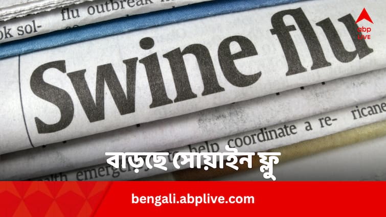 Swine Flu Cases Increasing Due To Rising Temperature Know Symptoms And Remedies In Bengali News Swine Flu: গরম পড়তেই বাড়ছে সোয়াইন ফ্লু, কোন লক্ষণে চেনা সম্ভব ?