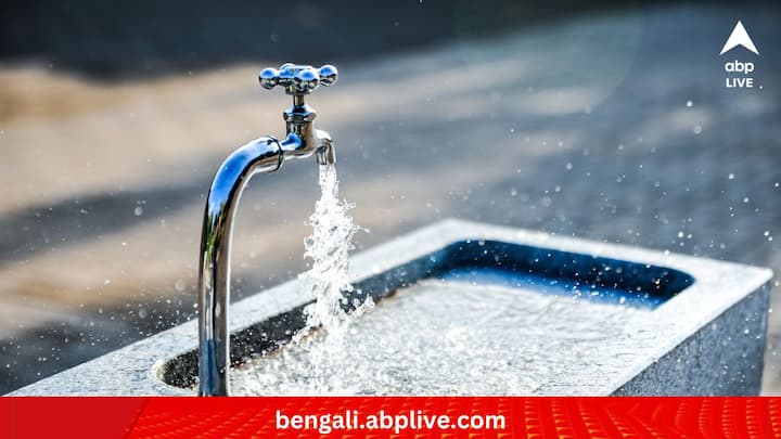তবে এই প্রক্রিয়াগুলি কতটা বিজ্ঞানসম্মত, তা নিয়ে বেশিরভাগেরই সন্দেহ রয়েছে। তুলনায় জলের ধারায় আঙুর ধোয়ার উপর আস্থা রাখেন তাঁরা। তবে ধরে রাখা জল নয়, অঝোরে বইতে থাকা জলের ধারায় ভাল করে ফলগুলি ধুতে পারলেই আশঙ্কা কমতে পারে। (ছবি:PIXABAY)