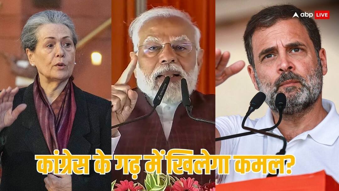 Lok Sabha Election 2024 Raebareli amethi seat 2024 result prediction TV9 Bharatvarsh survey TV9 Bharatvarsh Survey: रायबरेली-अमेठी का 2024 में क्या हो सकता है रिजल्ट, सर्वे ने किया खुलासा