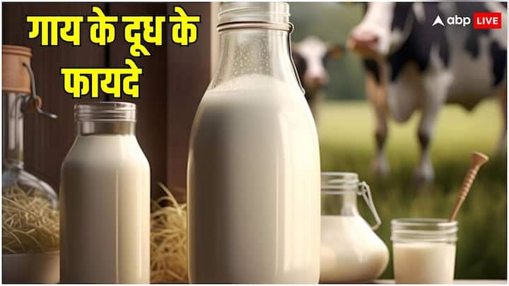 benefits of cow milk surprise you it cure many diseases Cow Milk: गाय के दूध के फायदे आपको कर देंगे हैरान, बड़ी से बड़ी बीमारियों को दूर करने में कारगर