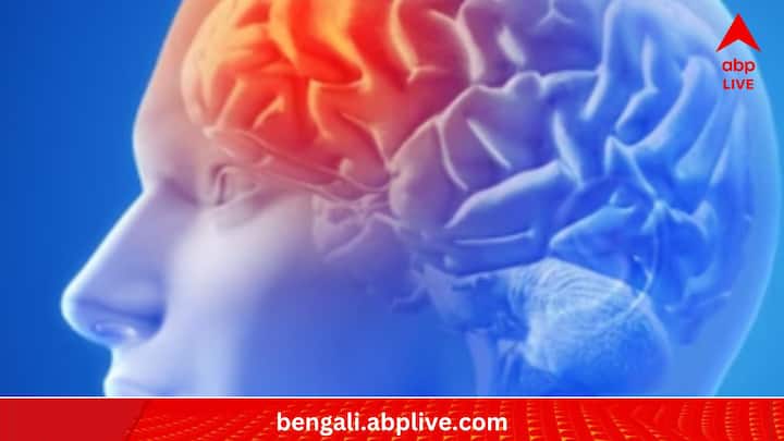 উচ্চতা, বয়স এবং পুরুষ-নারী--এই বিষয়গুলি নিয়ন্ত্রণ করেও এই পরিবর্তন ধরা পড়েছে, দাবি গবেষকদলের। দলটির প্রধান, চার্লস দেকার্লির কথায়, 'কে কোন দশকে জন্মেছেন, তা তাঁর মস্তিষ্কের আয়জন ও সার্বিক মস্তিষ্কের স্বাস্থ্য অনেকটাই নির্ধারণ করছে।'