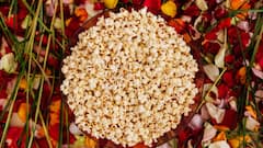 Colorful Corn:दुनिया के इस देश में मिलता है रंगीन भुट्टा, फोटो देखकर ही तबीयत हो जाएगी हरी-भरी