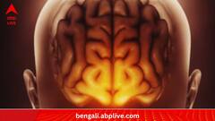 Science News:প্রজন্মের ব্য়বধানে বদলেছে মানবমস্তিষ্কের আয়তন, কেন 'আশার আলো' নতুন গবেষণায়?