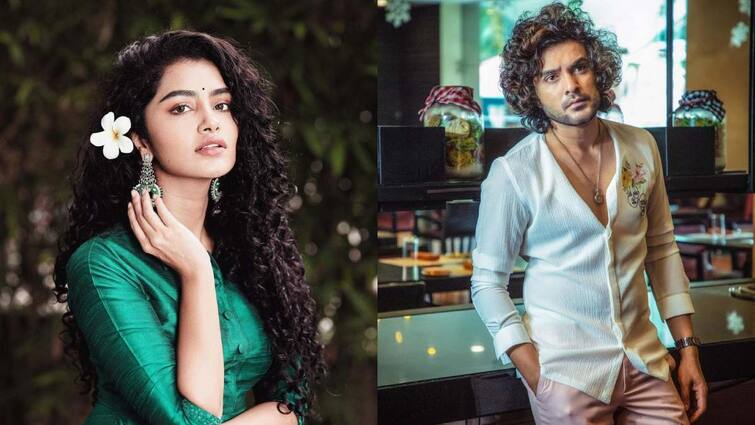 siddhu jonnalagadda about trolls on actress anupama parameswaran Siddhu Jonnalagadda: అనుపమా హర్ట్ అయ్యింది, పనీ పాటా లేనోళ్లు అడ్డగోలుగా మాట్లాడుతున్నారు - సిద్దు జొన్నలగడ్డ ఆగ్రహం