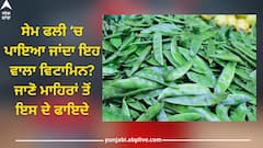 Sem Phali Benefits: ਸੇਮ ਫਲੀ ‘ਚ ਪਾਇਆ ਜਾਂਦਾ ਇਹ ਵਾਲਾ ਵਿਟਾਮਿਨ? ਜਾਣੋ ਮਾਹਿਰਾਂ ਤੋਂ ਇਸ ਦੀ ਸਬਜ਼ੀ ਖਾਣ ਦੇ ਫਾਇਦੇ