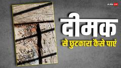 घर में रखे फर्नीचर और दीवार में लग गई हैं दीमक तो अपनाएं ये तरीके, तुरंत मिल जाएगा छुटकारा