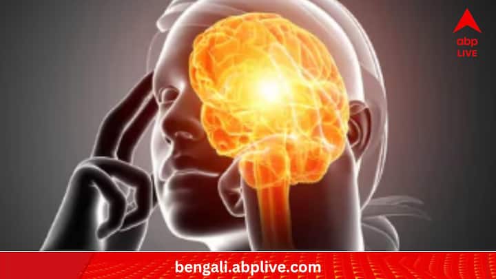 কী নিয়ে এত উৎসাহী গবেষকরা? তা হলে নজর বোলানো যাক 'JAMA Neurology' শীর্ষক জার্নালে প্রকাশিত একটি গবেষণাপত্রে। সেখানে, ৫৫-৬৫ বছরের ৩ হাজার অংশগ্রহণকারীর মস্তিষ্কের 'ইমেজ' বিশ্লেষণ করেছেন ইউনিভার্সিটি অফ ক্যালিফোর্নিয়ার ডেভিস হেলথের একদল গবেষক।