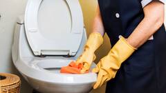 Bathroom Cleaning : जानिए, कैसे बर्फ के टुकड़ों से चुटकियों में साफ हो जाता है गंदे और पीले टॉयलेट पॉट