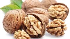 गमले में उगा सकते हैं अखरोट, बेहद आसान है तरीका