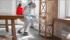 ਜੇ ਘਰੇ ਲੱਗ ਗਿਆ ਹੈ ਦੀਮਕ ਤਾਂ ਜਾਣੋ ਇਸ ਤੋਂ ਛੁਟਕਾਰਾ ਪਾਉਣ ਦਾ ਸੌਖਾ ਤਰੀਕਾ