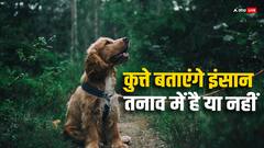 Dogs tell about stress:इंसान की सांस सूंघकर कुत्ते बताएंगे तनाव की स्थिति, वैज्ञानिकों ने नए शोध में किया दावा