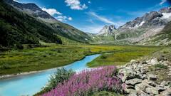 IRCTC Tour: गर्मियों में कश्मीर की ठंडी वादियों का लें लुत्फ, IRCTC लाया स्पेशल टूर पैकेज