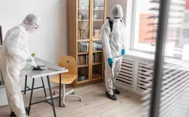 ਵ੍ਹਾਈਟ ਵਿਨੇਗਰ: ਸਫੇਦ ਸਿਰਕੇ ਅਤੇ ਪਾਣੀ ਦਾ ਮਿਸ਼ਰਣ ਬਣਾਓ, ਇਸ ਨੂੰ ਸਪਰੇਅ ਬੋਤਲ ਵਿੱਚ ਭਰੋ ਅਤੇ ਇਸ ਨੂੰ ਦੀਮਿਕ ਪ੍ਰਭਾਵਿਤ ਥਾਂ 'ਤੇ ਸਪਰੇਅ ਕਰੋ। ਇਹ ਇੱਕ ਪ੍ਰਭਾਵਸ਼ਾਲੀ ਘਰੇਲੂ ਉਪਾਅ ਹੈ ਜੋ ਦੀਮੀਆਂ ਤੋਂ ਛੁਟਕਾਰਾ ਪਾਉਣ ਵਿੱਚ ਮਦਦ ਕਰ ਸਕਦਾ ਹੈ।