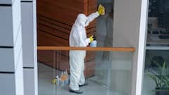 Termite Removal : घर में लग गया हो दीमक, तो जानें कैसे पाएं इससे छुटकारा