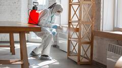 Termite Removal : घर में लग गया हो दीमक, तो जानें कैसे पाएं इससे छुटकारा