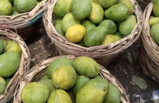 ਅੰਬ ਦੇ ਫਲ ਵਿੱਚ ਕਰੀਬ 25 ਫੀਸਦੀ ਚੀਨੀ ਦੀ ਮਾਤਰਾ ਹੁੰਦੀ ਹੈ ਅਤੇ ਮੈਗਨੇਸ਼ੀਅਮ ਉਸ ਨੂੰ ਵਧਾਉਣ ਦਾ ਕੰਮ ਕਰਦਾ ਹੈ। ਅੰਬ ਦੀ ਫਸਲ ਵਿੱਚ ਇਸ ਨੂੰ ਮਿਲਾਉਣਾ ਕਾਫੀ ਫਾਇਦੇਮੰਦ ਸਾਬਤ ਹੁੰਦਾ ਹੈ।