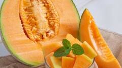 गर्मियों में खूब खाएं खरबूजा! डिहाइड्रेशन, आंखों की रोशनी बढ़ाने से लेकर इन बीमारियों से रहेंगे दूर...