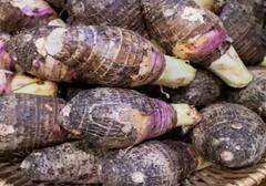 Arbi Farming Tips: ਇਸ ਤਰਕੀਬ ਨਾਲ ਕਰੋ ਅਰਬੀ ਦੀ ਖੇਤੀ, ਚੰਗੇ ਝਾੜ ਨਾਲ ਹੋਵੇਗਾ ਸ਼ਾਨਦਾਰ ਮੁਨਾਫ਼ਾ