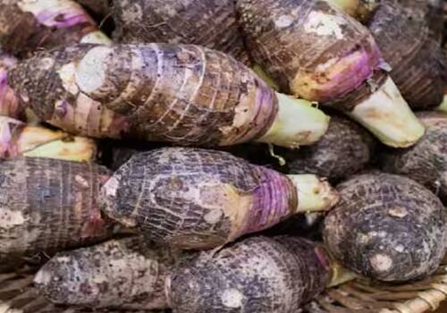 ਅਰਬੀ ਵਿੱਚ ਵਿਟਾਮਿਨ ਏ, ਕੈਲਸ਼ੀਅਮ ਅਤੇ ਆਇਰਨ ਹੁੰਦਾ ਹੈ। ਲੋਕਾਂ ਨੂੰ ਅਰਬੀ ਦੀ ਸਬਜ਼ੀ ਕਾਫੀ ਪਸੰਦ ਹੁੰਦੀ ਹੈ। ਗਰਮੀਆਂ ਵਿੱਚ ਇਸ ਦਾ ਖੂਬ ਮੰਗ ਹੁੰਦੀ ਹੈ।