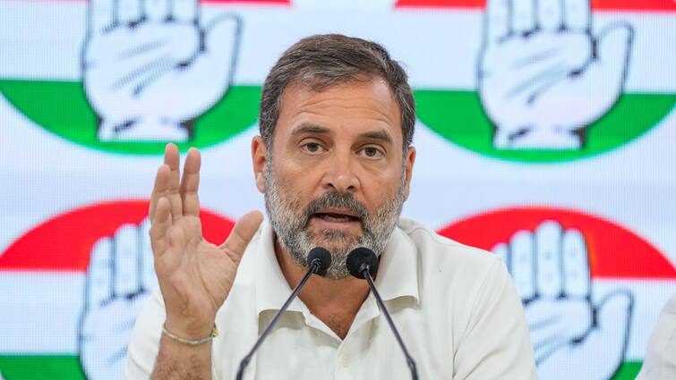 Rahul Gandhi Says Action will definitely be taken against those who acts against democracy when govt changes Rahul Gandhi On BJP: 'फिर किसी की हिम्मत नहीं होगी...', राहुल गांधी ने बताया जब सरकार बदलेगी तो क्या होगा