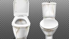 Bathroom Cleaning : जानिए, कैसे बर्फ के टुकड़ों से चुटकियों में साफ हो जाता है गंदे और पीले टॉयलेट पॉट