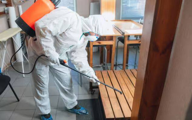 ਸੁੱਕੀ ਲੱਕੜ ਦੀ ਵਰਤੋਂ ਨਾ ਕਰੋ: ਆਪਣੇ ਘਰ ਦੇ ਆਲੇ-ਦੁਆਲੇ ਸੁੱਕੀ ਲੱਕੜ ਦਾ ਢੇਰ ਨਾ ਲਗਾਓ ਕਿਉਂਕਿ ਇਹ ਦੀਮਕ ਨੂੰ ਆਕਰਸ਼ਿਤ ਕਰਦਾ ਹੈ। ਸੁੱਕੀ ਲੱਕੜ ਨੂੰ ਘਰ ਤੋਂ ਦੂਰ ਰੱਖੋ।