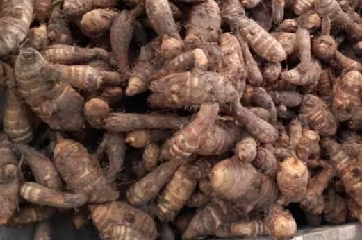 ਅਰਬੀ ਦੀ ਕਾਸ਼ਤ ਇੱਕ ਹੈਕਟੇਅਰ ਵਿੱਚ 250 ਤੋਂ 300 ਕੁਇੰਟਲ ਦੇ ਕਰੀਬ ਝਾੜ ਦਿੰਦੀ ਹੈ। ਜਿਸ ਕਾਰਨ ਕਿਸਾਨਾਂ ਨੂੰ ਕਾਫ਼ੀ ਮੁਨਾਫ਼ਾ ਮਿਲਦਾ ਹੈ।