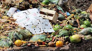 ਵਾਇਰਲ ਹੋ ਰਹੀ 42 ਸੈਕਿੰਡ ਦੀ ਵੀਡੀਓ 'ਚ ਦੇਖਿਆ ਜਾ ਸਕਦਾ ਹੈ ਕਿ ਸਕੂਟੀ 'ਤੇ ਇਕ ਲੜਕਾ ਅਤੇ ਲੜਕੀ ਆਹਮੋ-ਸਾਹਮਣੇ ਬੈਠੇ ਹਨ। ਦੋਵੇਂ ਇੱਕ ਦੂਜੇ ਨੂੰ ਜੱਫੀ ਪਾ ਕੇ ਰੰਗ ਲਗਾ ਰਹੇ ਹਨ। ਇਸ ਦੌਰਾਨ ਦੋਵੇਂ ਅਸ਼ਲੀਲ ਹਰਕਤਾਂ ਵੀ ਕਰ ਰਹੇ ਹਨ। ਕੁੜੀ ਸੜਕ 'ਤੇ ਖੜ੍ਹੀ ਸਕੂਟੀ 'ਤੇ ਲੇਟ ਜਾਂਦੀ ਹੈ। ਬੈਕਗ੍ਰਾਊਂਡ 'ਚ 'ਰੰਗ ਲਗਾ ਦੇ ਰੇ' ਗੀਤ ਚੱਲ ਰਿਹਾ ਹੈ।