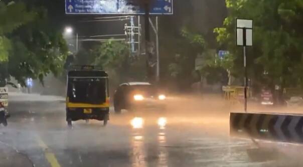 Additionally, Ramanathapuram district received 1 cm of rainfall on Thursday. (Credit: ABP Nadu)