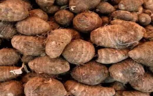 ਅਰਬੀ ਦੇ ਖੇਤੀ ਆਮ ਤੌਰ ‘ਤੇ ਅਫਰੀਕੀ ਦੇਸ਼ਾਂ ਵਿੱਚ ਕੀਤੀ ਜਾਂਦੀ ਹੈ। ਇਸ ਦੇ ਲਈ 21-27 ਡਿਗਰੀ ਔਸਤ ਤਾਪਮਾਨ ਦੀ ਲੋੜ ਹੁੰਦੀ ਹੈ।