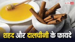 शहद और दालचीनी के फायदे जान हैरान हो जाएंगे आप, ऐसे करें इसका इस्तेमाल