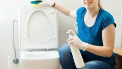 Bathroom Cleaning : जानिए, कैसे बर्फ के टुकड़ों से चुटकियों में साफ हो जाता है गंदे और पीले टॉयलेट पॉट