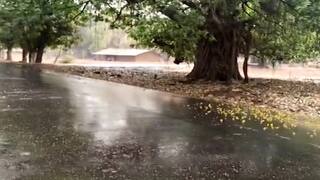 Unseasonal Rain : કાળઝાળ ગરમી વચ્ચે રાજ્યના કેટલાક વિસ્તારમાં કમોસમી વરસાદ, કેરી પકવતા ખેડૂતો ચિંતામાં
