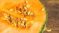 Muskmelon: கோடை வெயிலை சமாளிக்க உதவும்  முலாம் பழம்! வாகும்போது கவனிக்க வேண்டியவை!